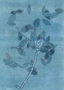 Midnight Garden I by Stephen Dow