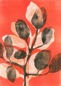 Summer Garden III by Stephen Dow