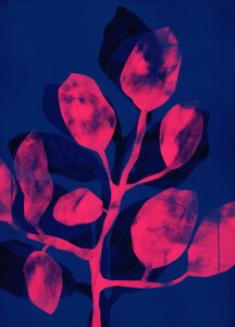 Summer Garden III pink by Stephen Dow