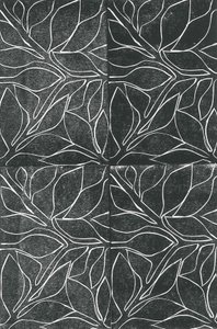 Vines by Stephen Dow