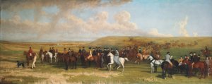 Coursing at Ashdown Park