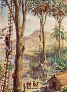 Illustration of the Life of Bishop Patteson by Stephen T. Dadd