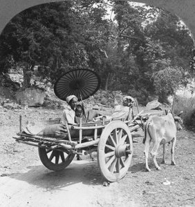 Family journeying through the jungle near Mingun, Burma, 1908 by Stereo Travel Co