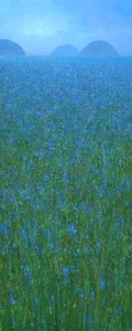 Blue Field Distant Hills by Steve Mitchell