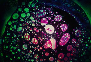 Dark Oils by Steve Pavlovsky