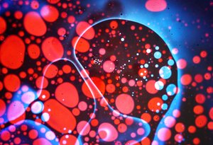 First Additive by Steve Pavlovsky