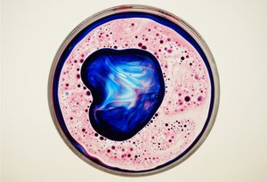 Petri Dish