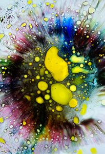 Tie Dye Splatter by Steve Pavlovsky