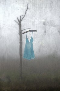 Misty Blue Dress by Steven Gibson