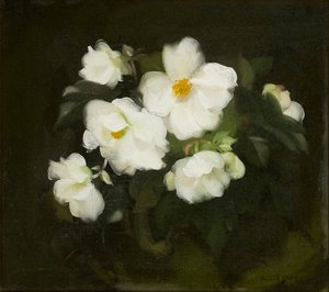 White Roses