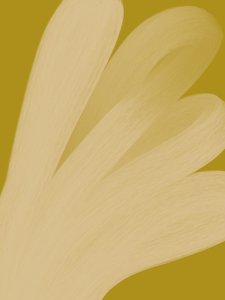 Abstract Golden Flow by Studio Palette