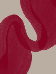Flowing Red Curves by Studio Palette