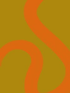 Fluid Orange Lines by Studio Palette