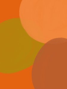 Warm Earthy Circles by Studio Palette