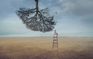 Floating Tree Contemplation