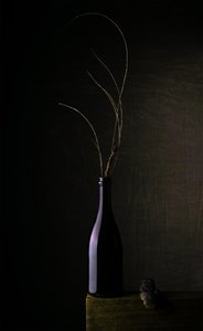 Dark Bottle Still Life by Sumit Dhuper