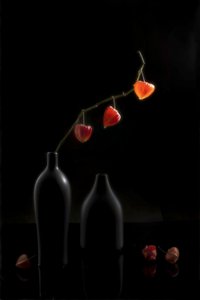 Orange Lanterns Still Life by Summer2016