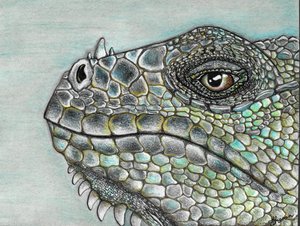 Vivid Iguana Scales