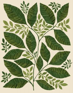 Green Botanical Leaves