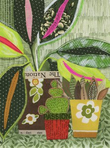 Vibrant Potted Plant Collage