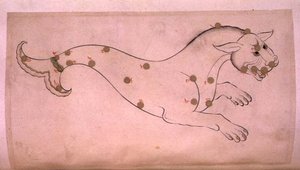 Constellations: Cetus, the Whale by Suvar Al Kavakib