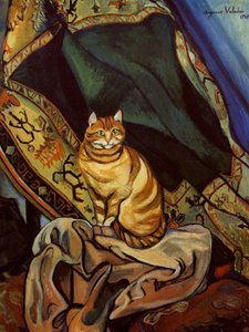 The Cat Raminou Sitting on a Cloth