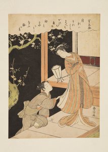 Plum Blossoms on a Dark Night