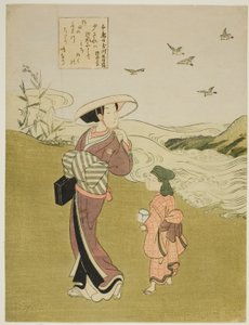 The Jewel River of Plovers, from an Untitled Series of Six Jewel Rivers by Suzuki Harunobu