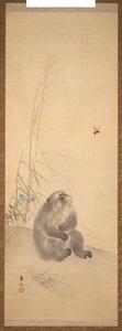 Monkey by Suzuki Kason