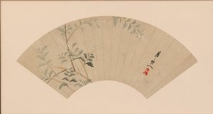 Bush Clover