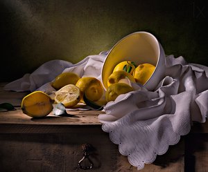 Rustic Lemon Still Life by Svetlana L
