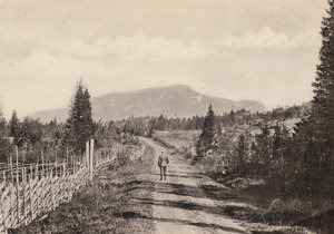 Sweden: Jamtland, Areskutan Fran Undersaker by Swedish Photographer