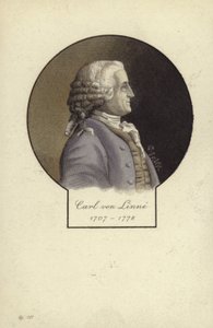 Carl Linnaeus, Swedish botanist and zoologist