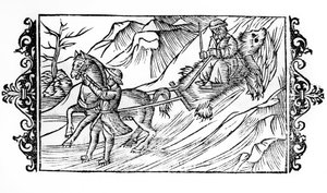 Horse dragging on the snow a bear skin on which a Finnish sits - in 