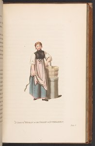 A Young Woman from the Valley of Interlaken