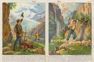 Alpine Scenes