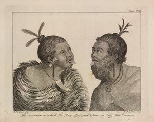 New Zealand warriors by Sydney (after) Parkinson