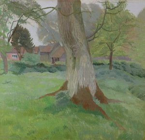 The Walnut Tree