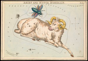 Aries and Musca Borealis, c.1825