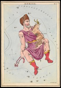 Auriga