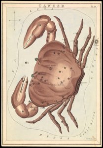 Cancer, c.1825 by Sydney Hall