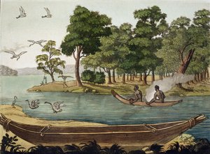 Method of Navigation in New Holland, engraved by F. Fumagalli, illustration from a collection of early 19th Century travel books