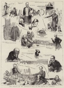 The Debate on Mr Parnell