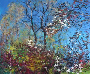 Blossom and Blue Sky by Sylvia Paul
