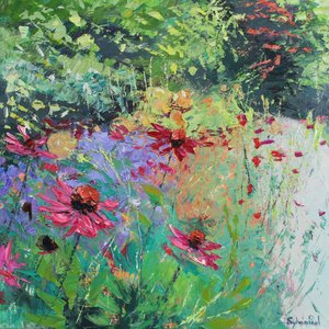 Echinacea in the Border, 2025 by Sylvia Paul