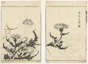 Thistles and Butterfly (series title: Gahon Shinkoku Makiage)