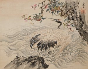 Flowers and Birds