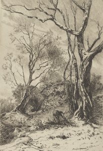 In Winter