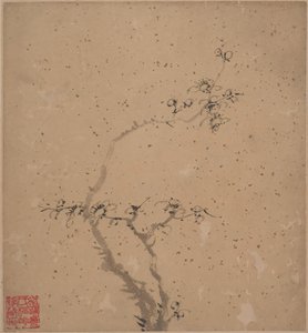 Blossoming Plum