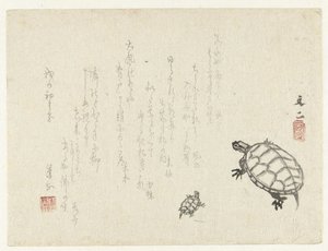 Two turtles by Tani Bunji